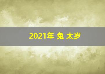 2021年 兔 太岁